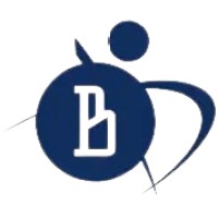 Byte Verse Tech logo - Similar company to Poln
