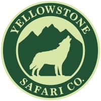 Yellowstone Safari