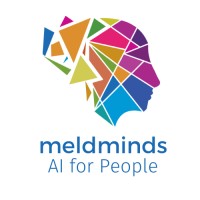 MeldMinds logo - Similar company to Techlopia