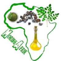 MoringAfrik logo - Similar company to Association Action Real