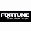 Fortune International Transport srl logo - Similar company to Happy Order