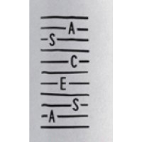 Ascesa logo - Similar company to Ascesa