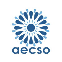 AECSO logo - Similar company to Emergent Vt