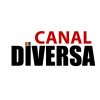 Canal Diversa logo - Similar company to Elmonx
