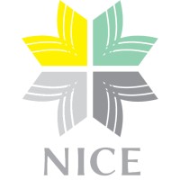 National Initiative for Creative Education logo - Similar company to Multicultural Uk