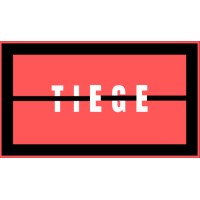 Tiege Consult logo - Similar company to 10Alytics