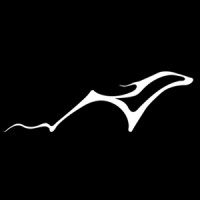 Mattar Gallery logo