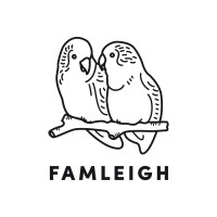 Famleigh, Inc. // Fawen Ready-To-Drink Soup