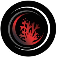 MEGALANT logo - Similar company to Cotexsa D.O.O.