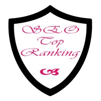 SEO Top Ranking logo - Similar company to Web Climbers Seo