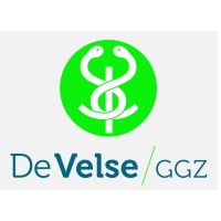 De Velse GGZ logo - Similar company to Serra Network Partners