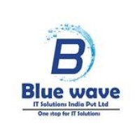 Blue Wave IT Solutions India Pvt. Ltd. logo - Similar company to Dr Solutions
