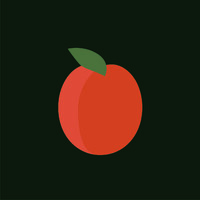 apricott logo - Similar company to Findbcbas