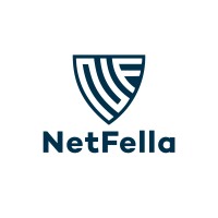NetFella logo - Similar company to Mpuza Inc.