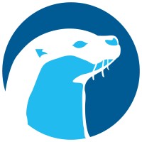 Otter Rwanda