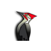 طراحی سایت دارکوب logo - Similar company to طراحی سایت| طراحی اپلیکیشن |طراحی وب| طراحی  وبسایت |سئو سایت |سئو |طراحی لوگو