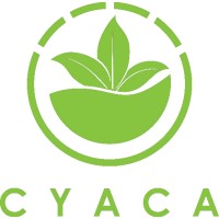 Chicago Youth Alliance for Climate Action logo - Similar company to Chicago Hyperloop