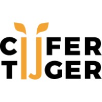 Cijfertijger B.V. logo - Similar company to Done.Nl