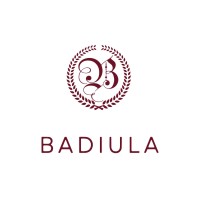 Badiula logo - Similar company to Modalsource