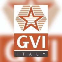 GVI ITALY logo - Similar company to Bindal Electricals