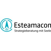 Esteamacon logo - Similar company to Codered.Net