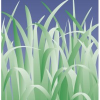 Dixons Landscapes Ltd logo - Similar company to Howard Evans Roofing & Cladding Limited