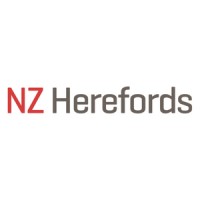 Nz Herefords
