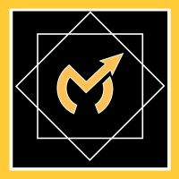 Meritzeal Business Solutions logo - Similar company to Mirror View 360