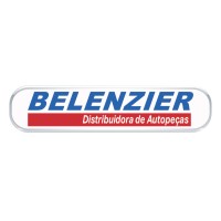 Grupo Belenzier logo - Similar company to Dislab Paraná