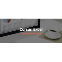 Cursuri Excel Pro Management logo - Similar company to Excel Cursuri