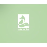 ADynamics logo - Similar company to Digital Dynamics