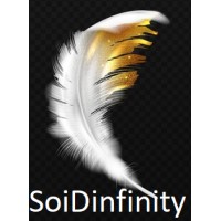 SoiD Infinity logo - Similar company to Flatrock Solutions