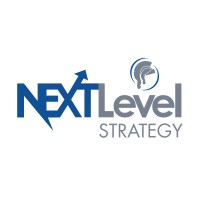 Next Level Strategy logo - Similar company to M Ous