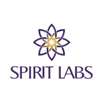 Spirit Labs logo - Similar company to Pcm Technology Solutions Co., Ltd
