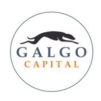 Galgo Capital SpA. logo - Similar company to El Mercio.