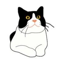 Buddies Place Cat Rescue logo - Similar company to Rocket Cat Rescue