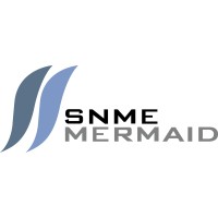 SNME MERMAID (M) SDN BHD logo - Similar company to Dhoot Techno Project