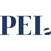 PEI Global Partners logo - Similar company to Energy Advisors Group