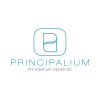 Principalium Capital AG logo - Similar company to Mshop