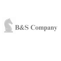 B&S Company logo - Similar company to Anispi