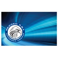 Maeseg SRL logo - Similar company to Maesce®