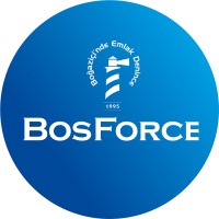 BosForce logo - Similar company to Abhaz İş İnsanları Derneği