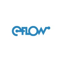 Eflow Indonesia logo - Similar company to Enamo