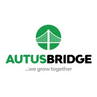 Autusbridge Consulting Limited logo - Similar company to Pacific Power Generation