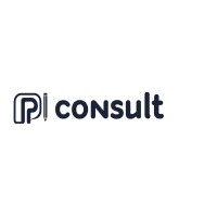 Pragmatic IT Consulting PTY Ltd logo - Similar company to Pragmaticitinc