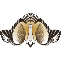 International Fund for Houbara Conservation (IFHC) logo - Similar company to Abu Dhabi International Hunting & Equestrian Exhibition (Adihex)