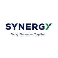 Synergy Information Systems logo - Similar company to Lyfs'On