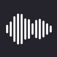 Soundscape Agency logo - Similar company to 1107 Studios