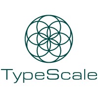 TypeScale logo - Similar company to Designspo
