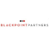 BlackPoint Partners logo - Similar company to Back Office Solutions